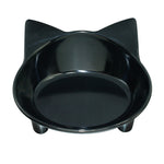 Pet Feeding Bowl