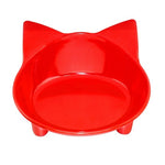 Pet Feeding Bowl