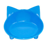 Pet Feeding Bowl
