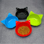 Pet Feeding Bowl