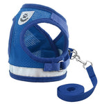 Pet Harness and Leash Set
