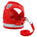 Pet Harness and Leash Set