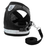 Pet Harness and Leash Set