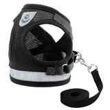 Pet Harness and Leash Set