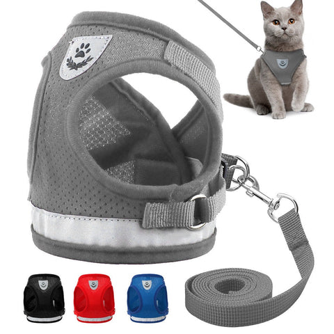 Pet Harness and Leash Set