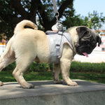 Pet Harness and Leash Set