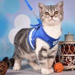Pet Harness and Leash Set