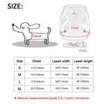 Pet Harness and Leash Set