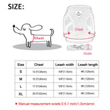 Pet Harness and Leash Set