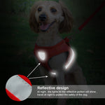 Pet Harness and Leash Set