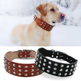 Studded Genuine Leather Dog Collar