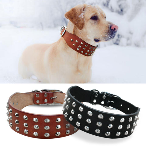 Studded Genuine Leather Dog Collar