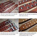 Studded Genuine Leather Dog Collar