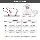 Cute Padded Cat Harness