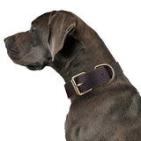 Genuine Leather Dog Collars For Small Medium Large Dogs