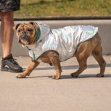 Reversible Dog Raincoat - Neon Aqua