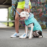 Reversible Dog Raincoat - Neon Aqua