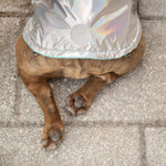 Reversible Dog Raincoat - Neon Aqua