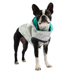 Reversible Dog Raincoat - Neon Aqua