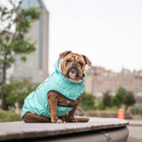 Reversible Dog Raincoat - Neon Aqua