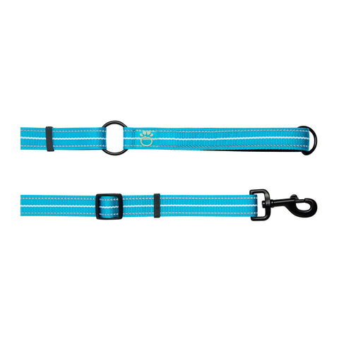 Reflective Leash- Neon Blue