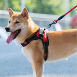 Adjustable Dog Harness