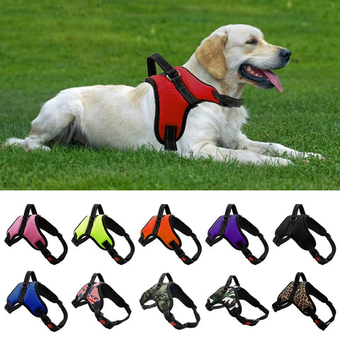 Adjustable Dog Harness