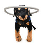 Pet Anti-Collision Ring Blind Dog Halo Collar