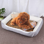 Dog Bone Pattern Bed