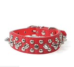 Spiked Studded Leather Dog Collar