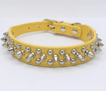 Spiked Studded Leather Dog Collar