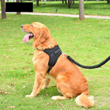 Adjustable Dog Harness
