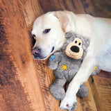 Toy Dogs Kong Wild Knots Bears - Kong Dog Toy Color Random Toys Pet