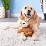 Toy Dogs Kong Wild Knots Bears - Kong Dog Toy Color Random Toys Pet