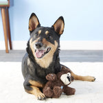 Toy Dogs Kong Wild Knots Bears - Kong Dog Toy Color Random Toys Pet