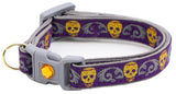 Gold Glitter Skulls Breakaway Cat Collar