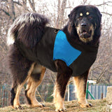Waterproof Winter Dog Jacket