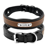 Large Genuine Leather Dog Collar