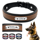 Large Genuine Leather Dog Collar
