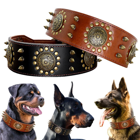 Leather Large Dog Collar