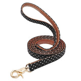Leather Dog Leash