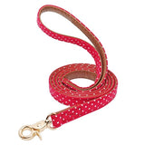 Leather Dog Leash