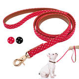 Leather Dog Leash