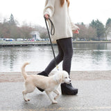 Leather Dog Leash