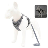 Adjustable  Dog Harness And Leash
