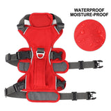 No Pull Dog Harness