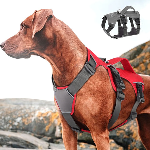 No Pull Dog Harness