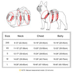 No Pull Dog Harness