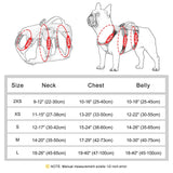 No Pull Dog Harness