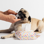 Get Fresh Dog Wipes - Citrus